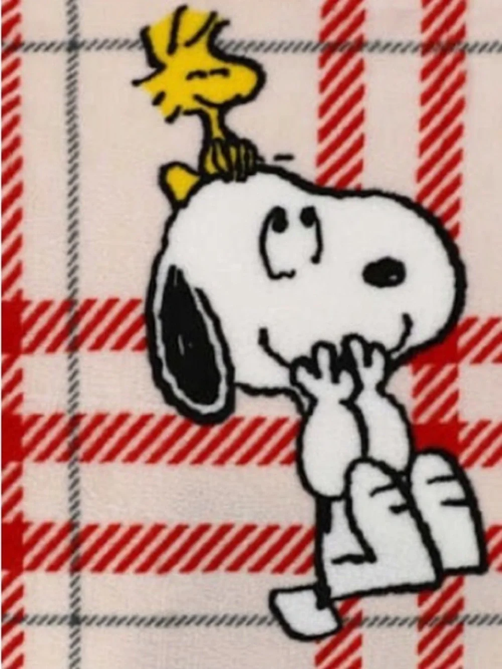 Peanuts Snoopy & Woodstock Blanket